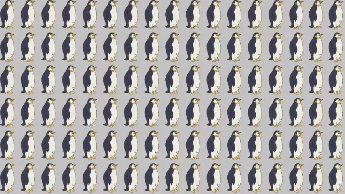 Can you spot the odd penguin?