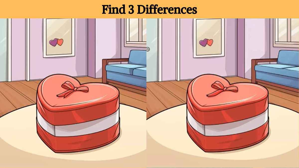 Find 3 differences between the gift box pictures in 17 seconds!