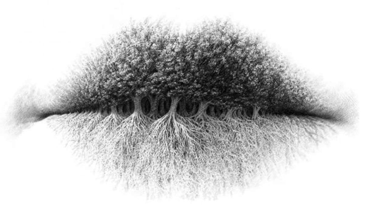 optical illusion personality test