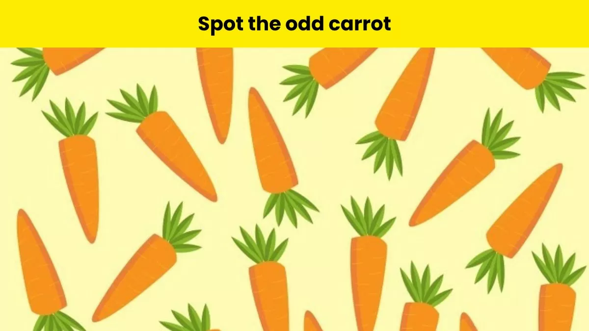 Spot the ODD Carrot in 5 seconds