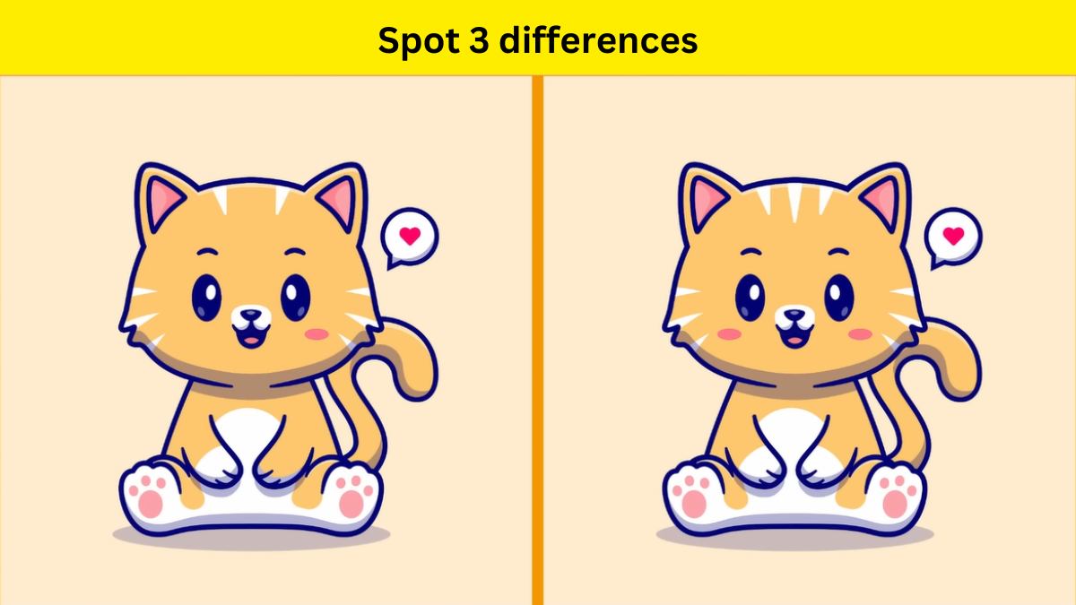 Spot 3 differences between the cat pictures within 8 seconds?