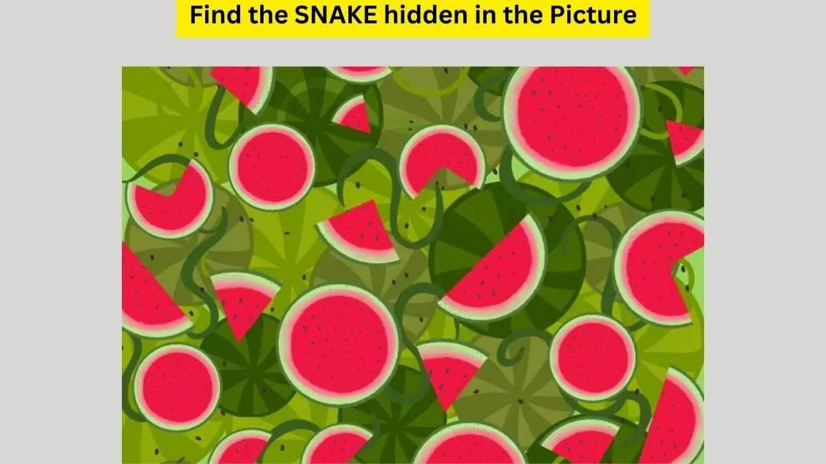 1 Minute Brain Teaser: You Need Super Sonic Vision To Find The SNAKE ...