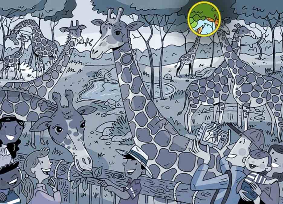 Illusion Pictures With Hidden Images With Answers Only Optical Illusion Masters Can Spot The Carrot In 8 Seconds!