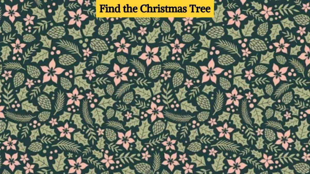 Optical Illusion Eye Test: Find the Christmas tree in the picture in 8 ...