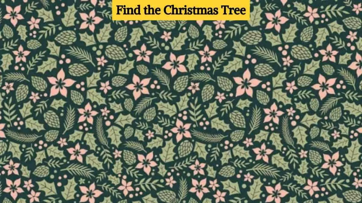 Find the Christmas tree