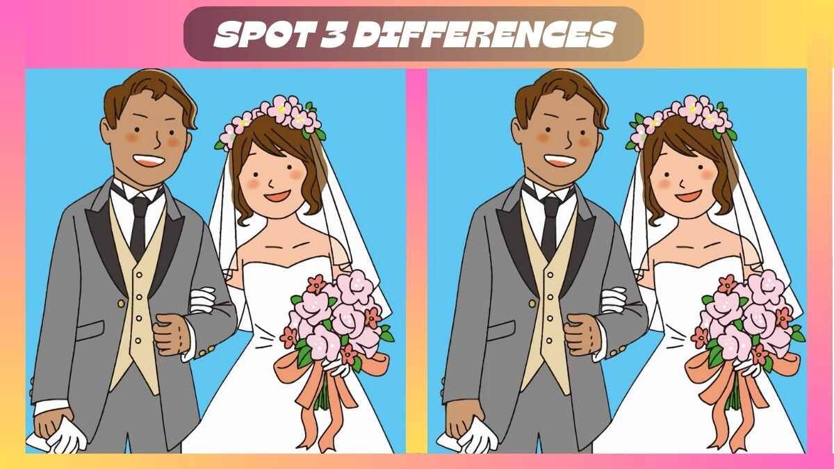 Find 3 Differences In 47 Seconds In This Marriage Scene