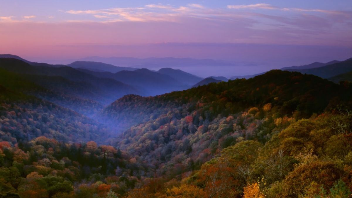 Tennessee Map: Official Image, Population and Other Important Details