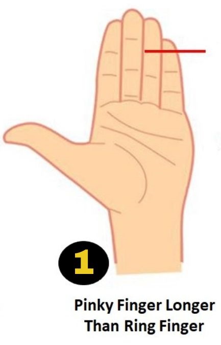 Pinky Finger Longer Than Ring Finger Personality Traits