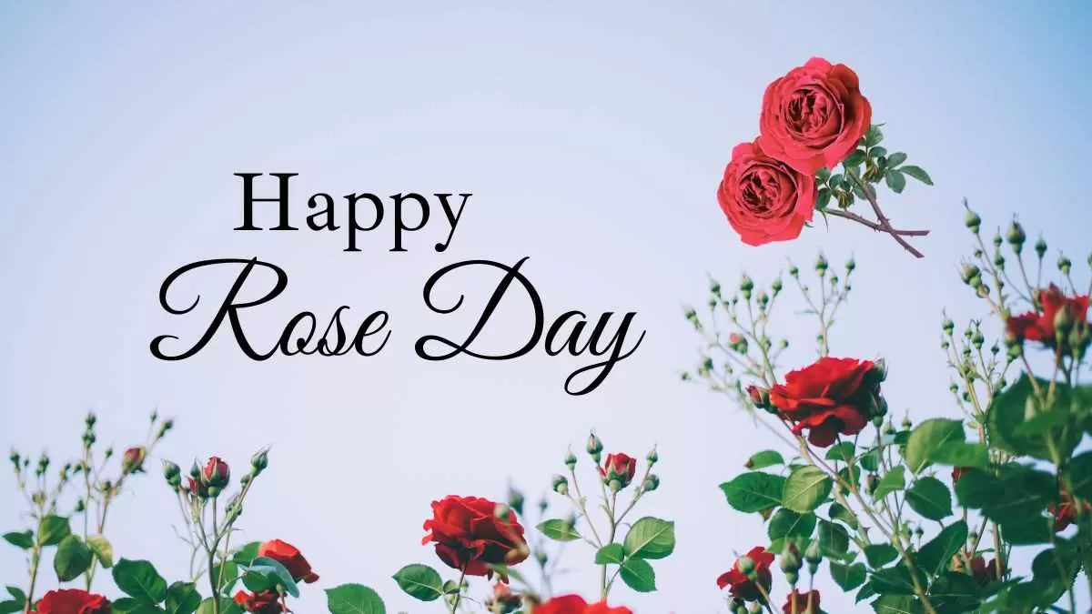 Rose Day 2024 Wishes & Messages