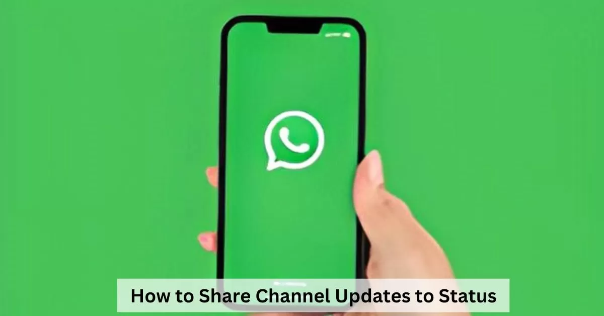 WhatsApp Allows Users to Share Channel Posts in Status Updates