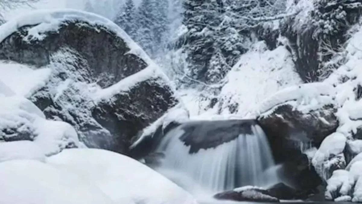 Can you spot the polar bear?