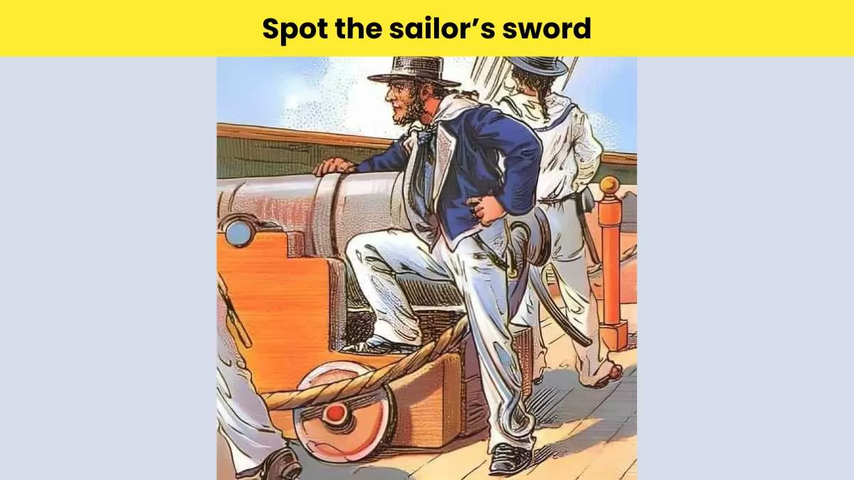 Can you spot the hidden sword?