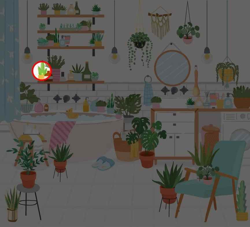 the frog is hidde here