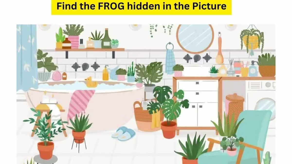 Find the Frog In The Picture!