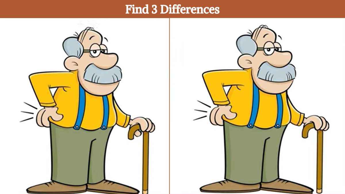 Find 3 Differences Between The Old Man Pictures In 11 Seconds!