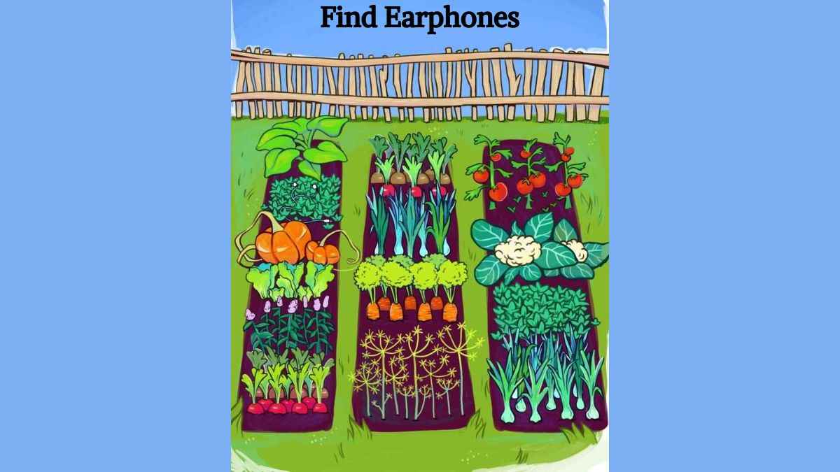 You have eagle eyes if you can find the earphones in the garden in 6 seconds!