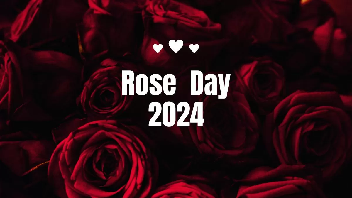 Rose Day 2024 Date When it is and What is the Significance of