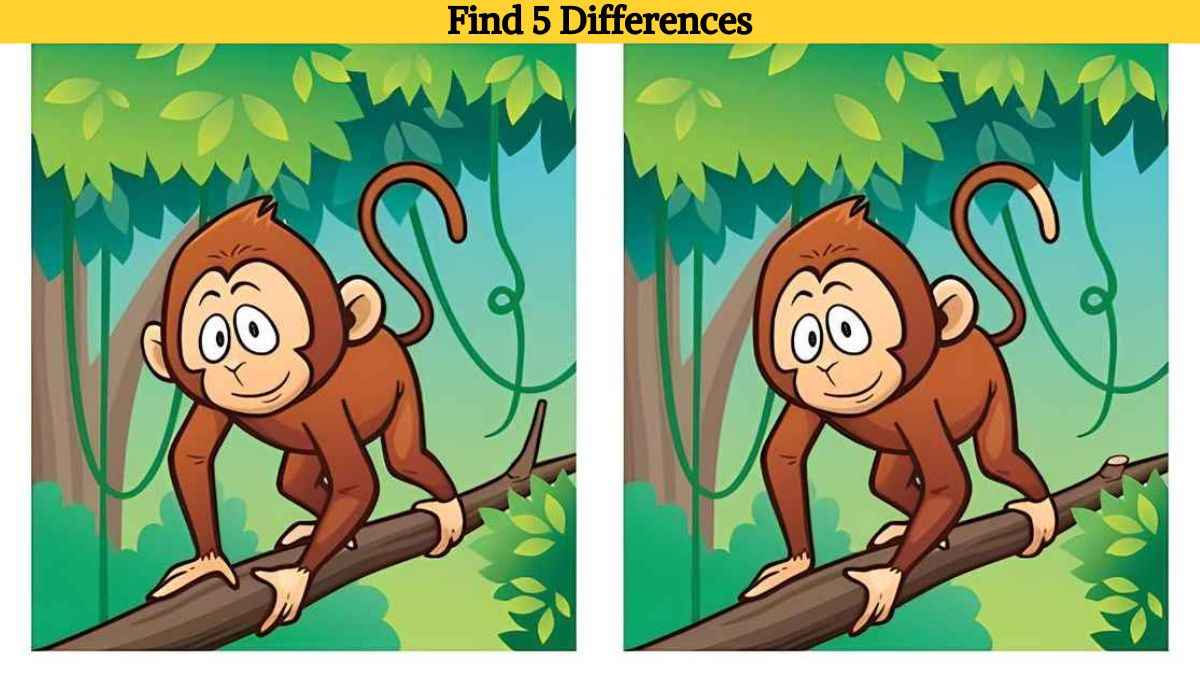 Find 5 differences between the monkey pictures in 18 seconds!