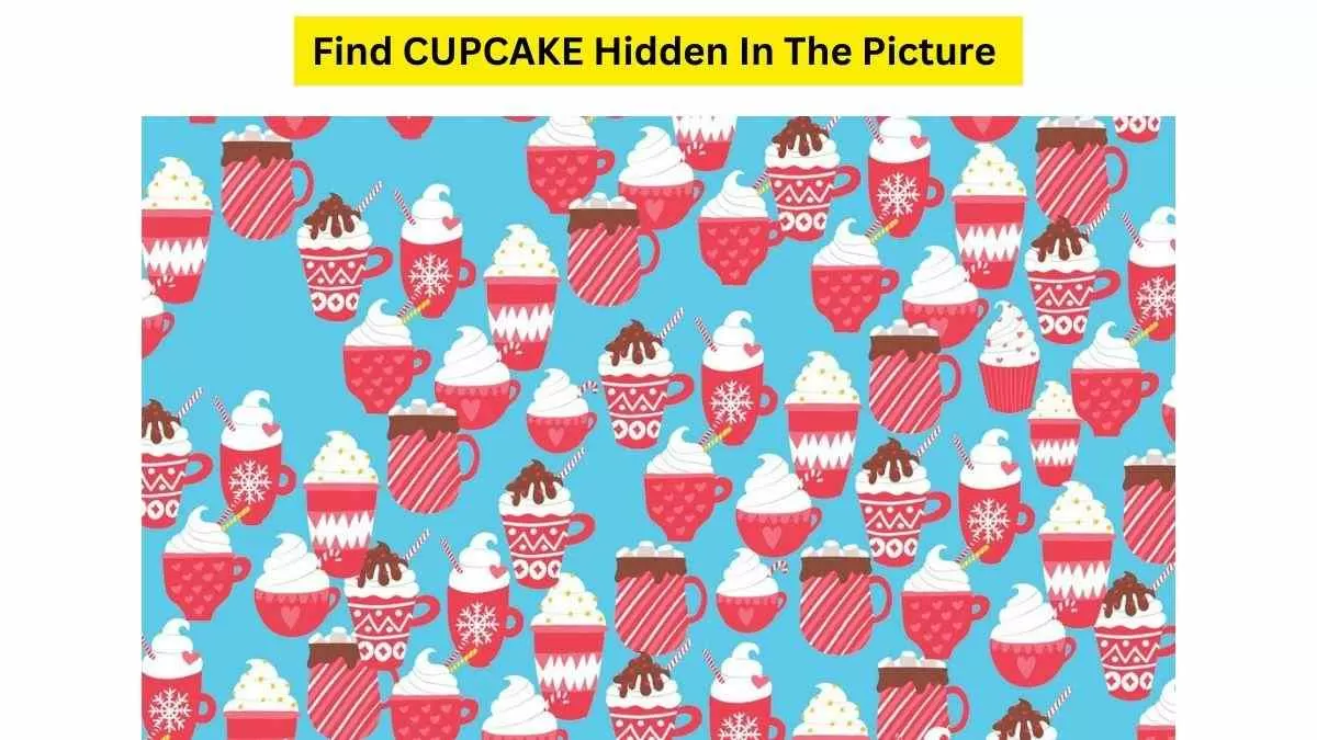 Find the CUPCAKE in the Picture!