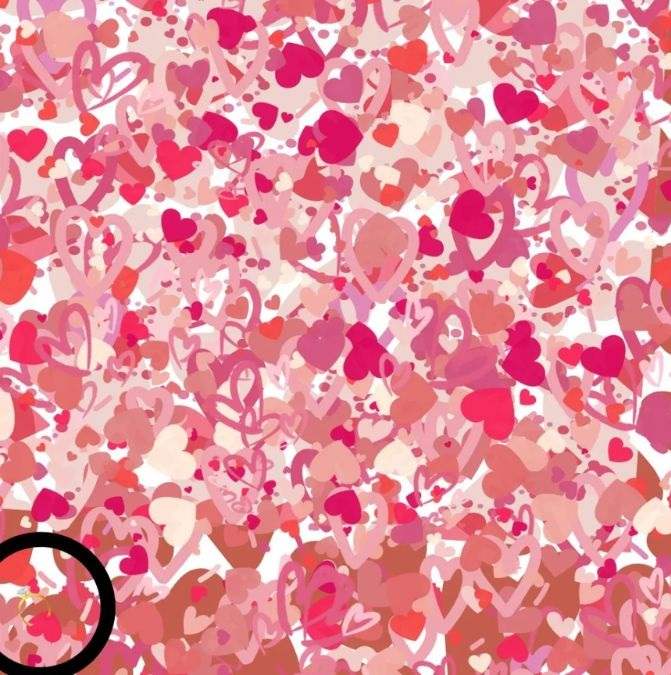 picture puzzles with answers