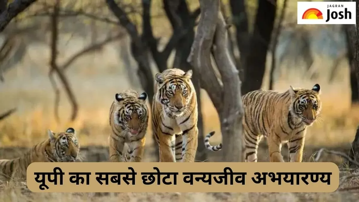 यूपी का सबसे छोटा वन्यजीव अभयारण्य