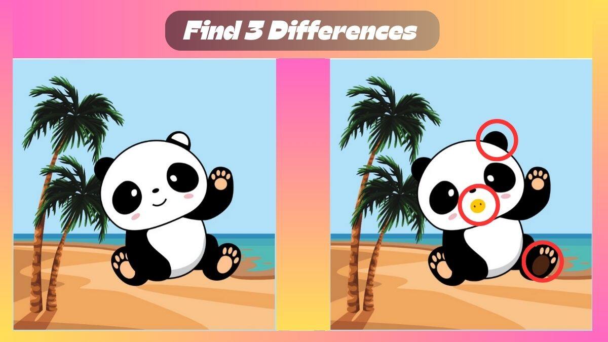 Find 3 Differences In 31 Seconds In This Baby Panda Scene
