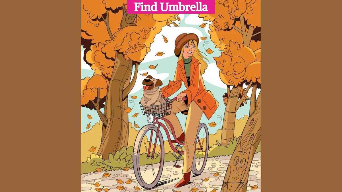 Seek and Find: Only eagle eyes can find the hidden umbrella in 5 seconds!