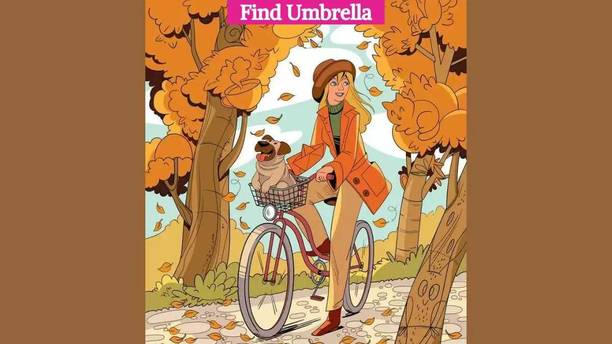 Find Hidden Umbrella
