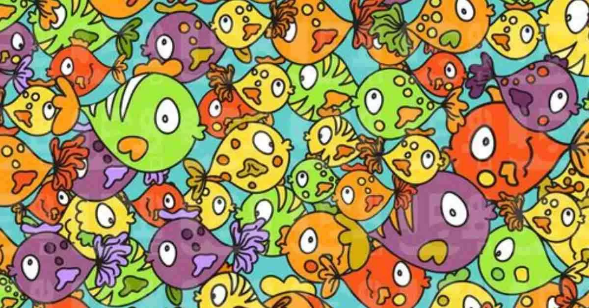 Find the Hidden Chicken