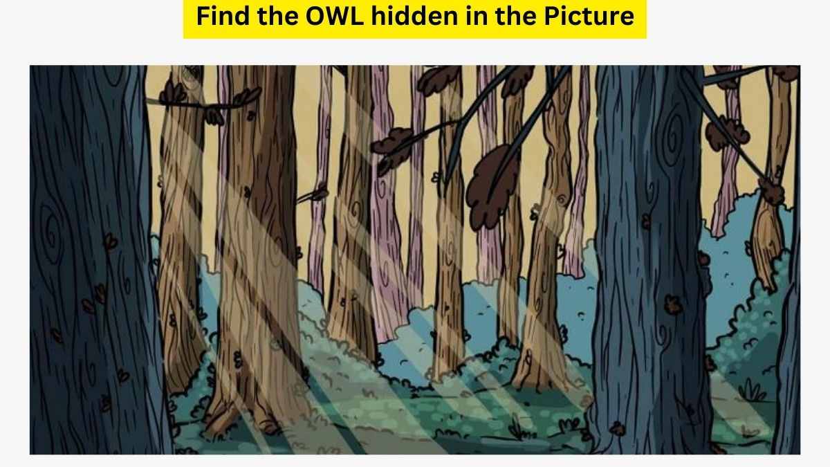 Vision Test: Only 1 Out Of 5 Can Find The OWL In This Optical Illusion Within 7 Seconds. Try Your Luck!