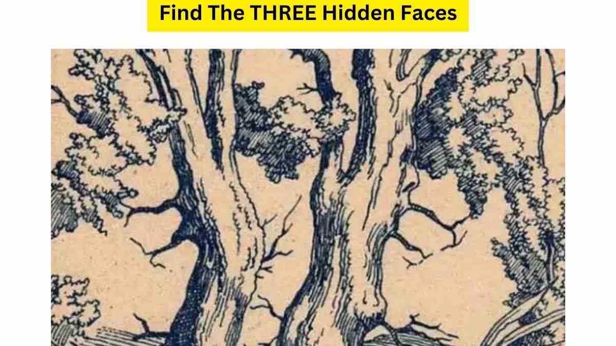 You Are Among 1% High IQ Genius If You Can Find 3 FACES Hidden In The