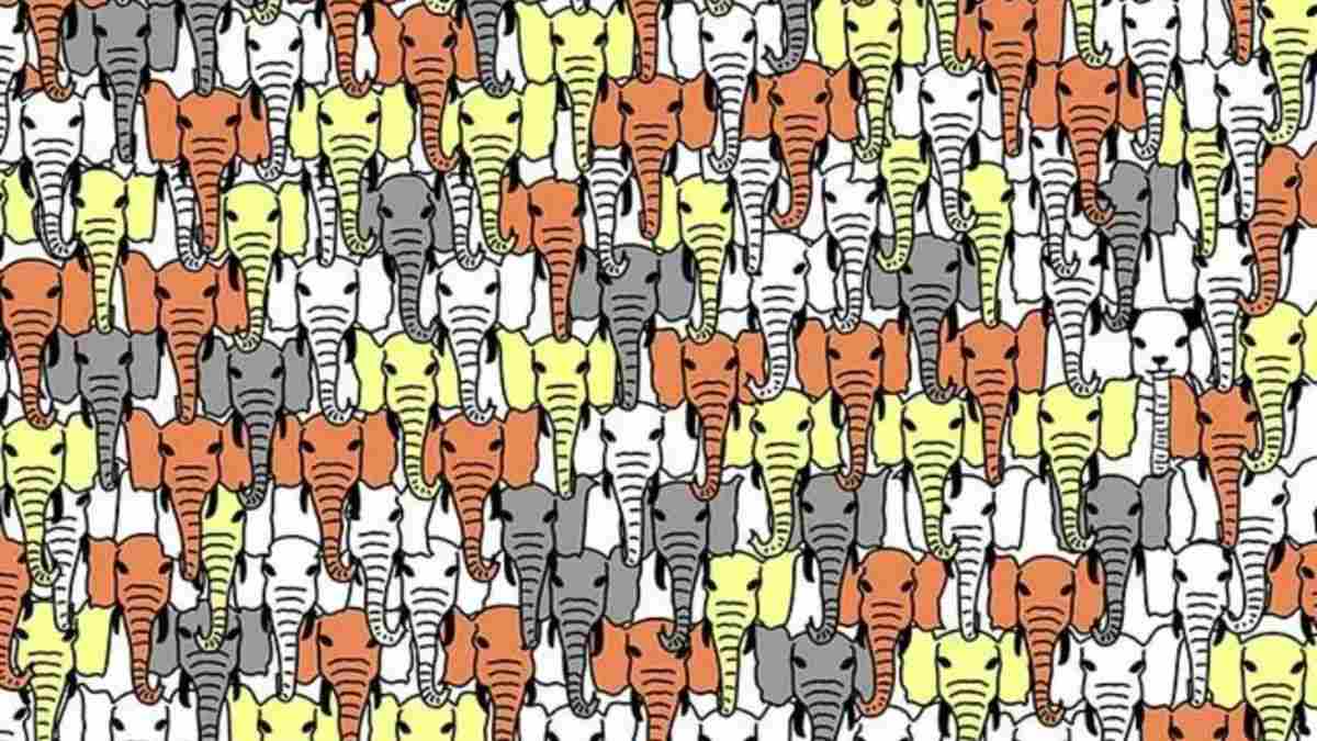 Use Your Extraordinary Observational Skills To Spot A Panda Among Elephants In 8 Seconds!