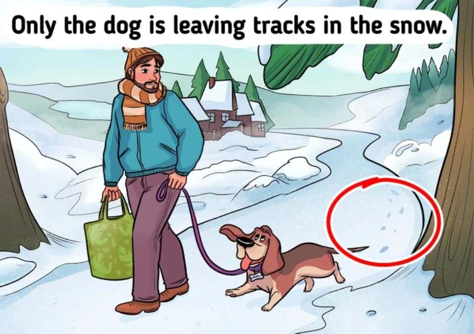 picture puzzles with answers