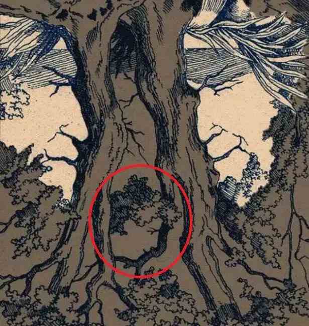 the three hidden faces are here