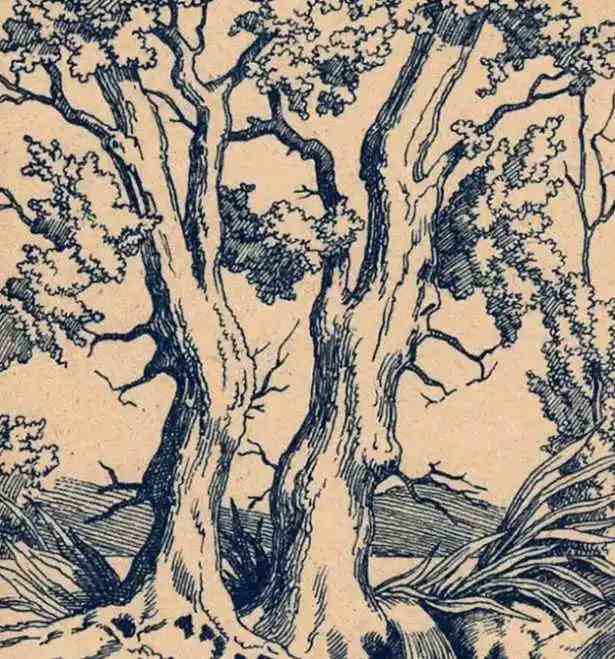 where are the three faces hidden here/