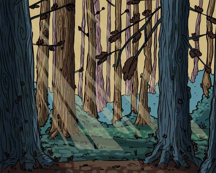 where is the owl in the picture