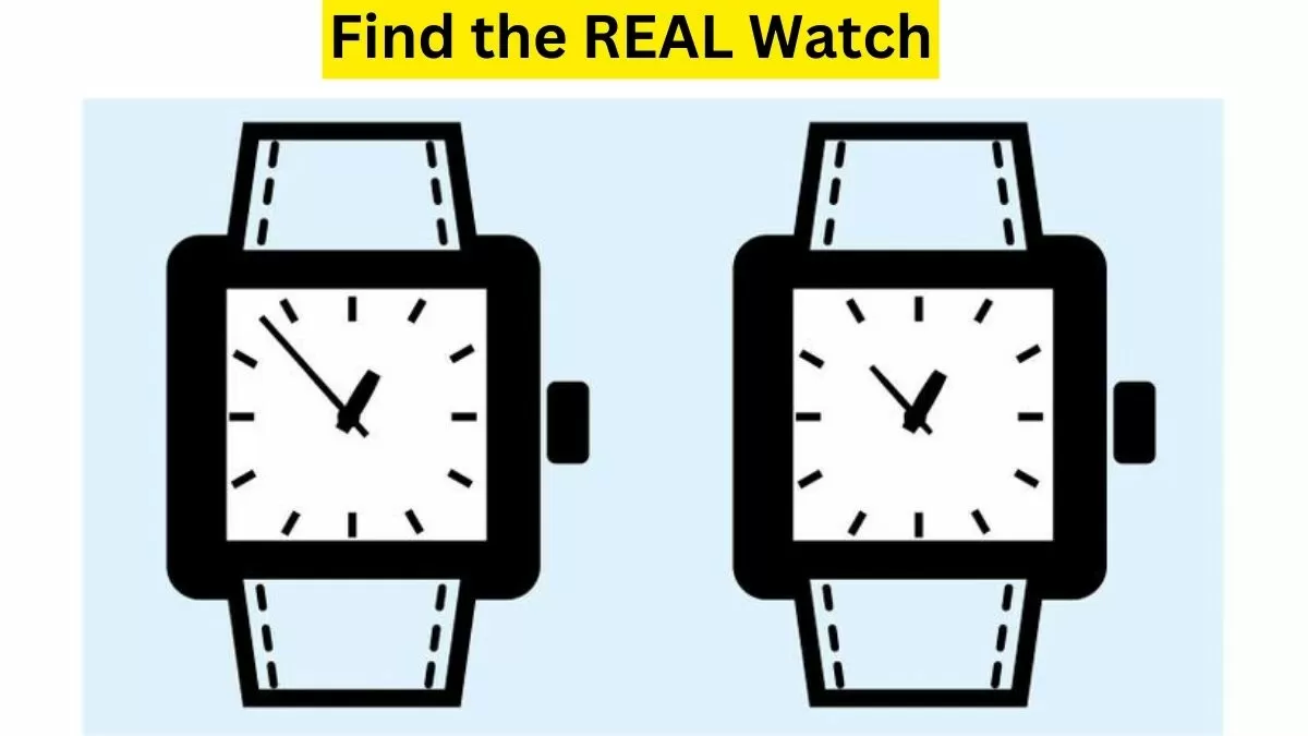 find the real watch