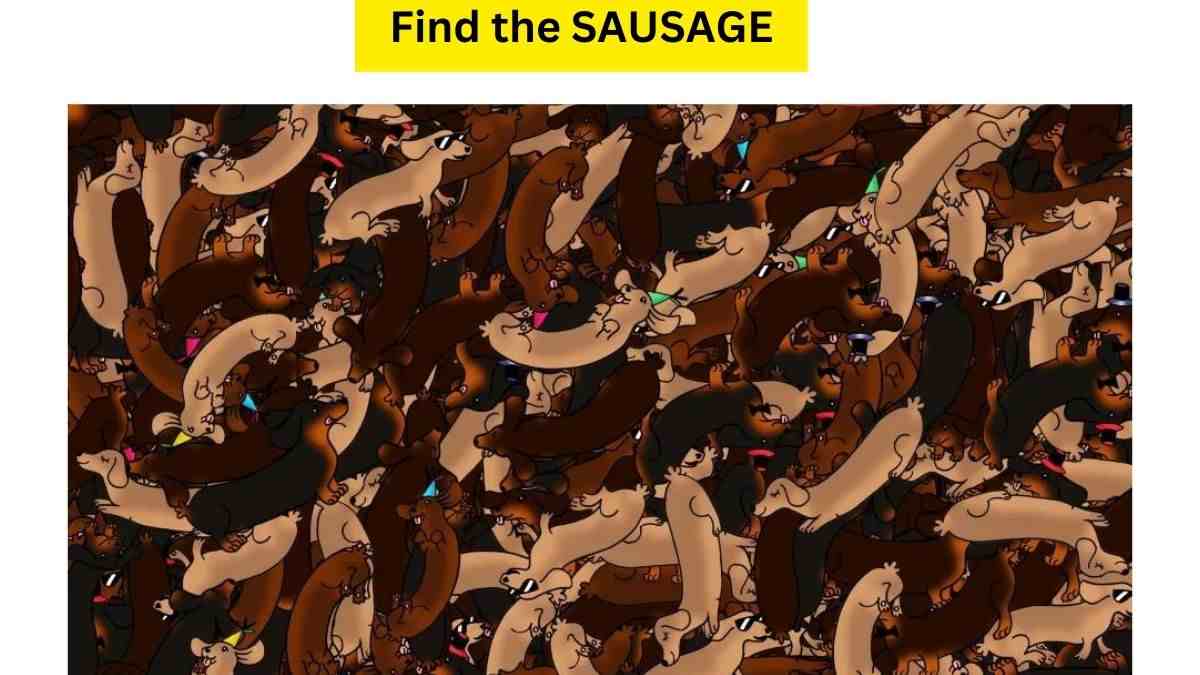 You Need Razor Sharp Vision To Find The SAUSAGE Hidden Among Dogs In 21 Pictures. Try Your Skills!
