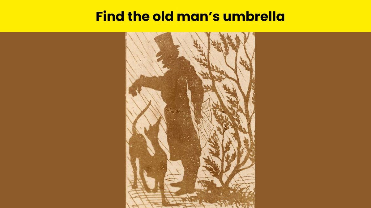 Test your eyes and spot the umbrella hidden in the old man and dog picture within 4 seconds.