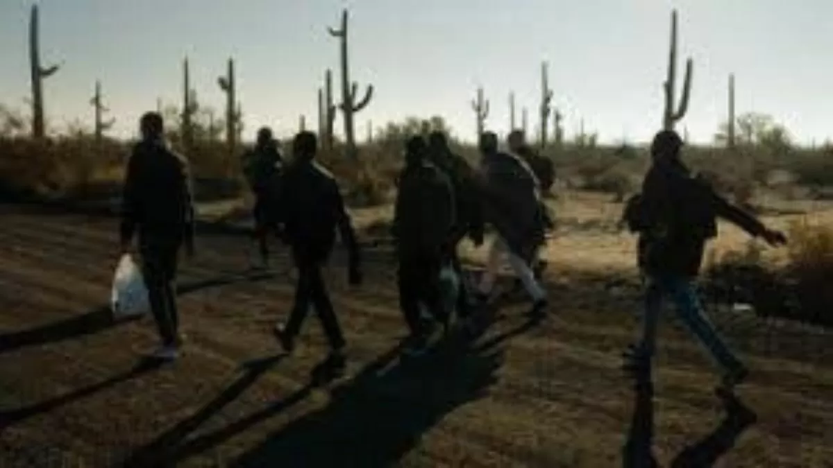 What exactly is meant by a "donkey route"? Let's understand this type of border crossing
