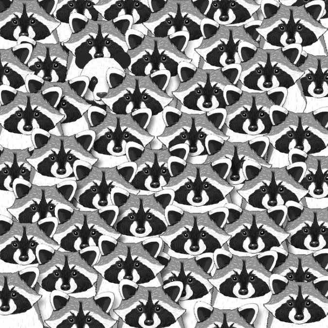 picture puzzles find hidden animals 