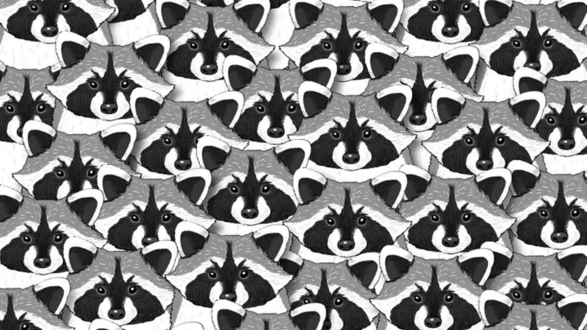 Can you spot the panda in this picture puzzle?