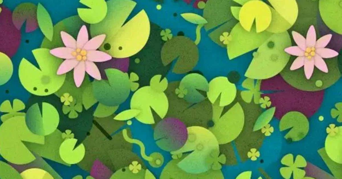 Find the Hidden Turtle