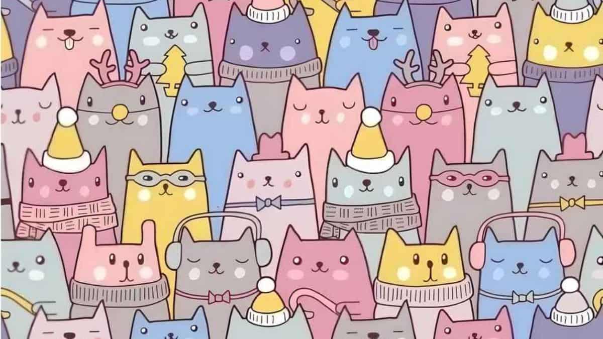 Optical Illusion: Find the hidden bunny among cats in 8 seconds!