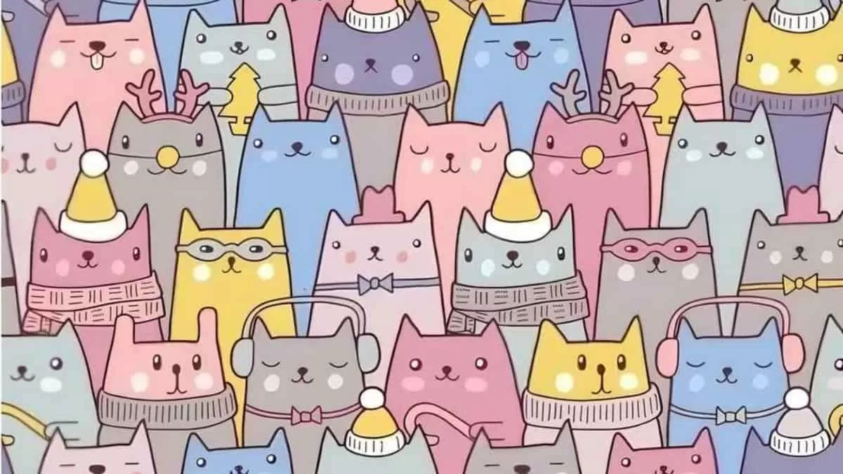 Find hidden bunny among cats