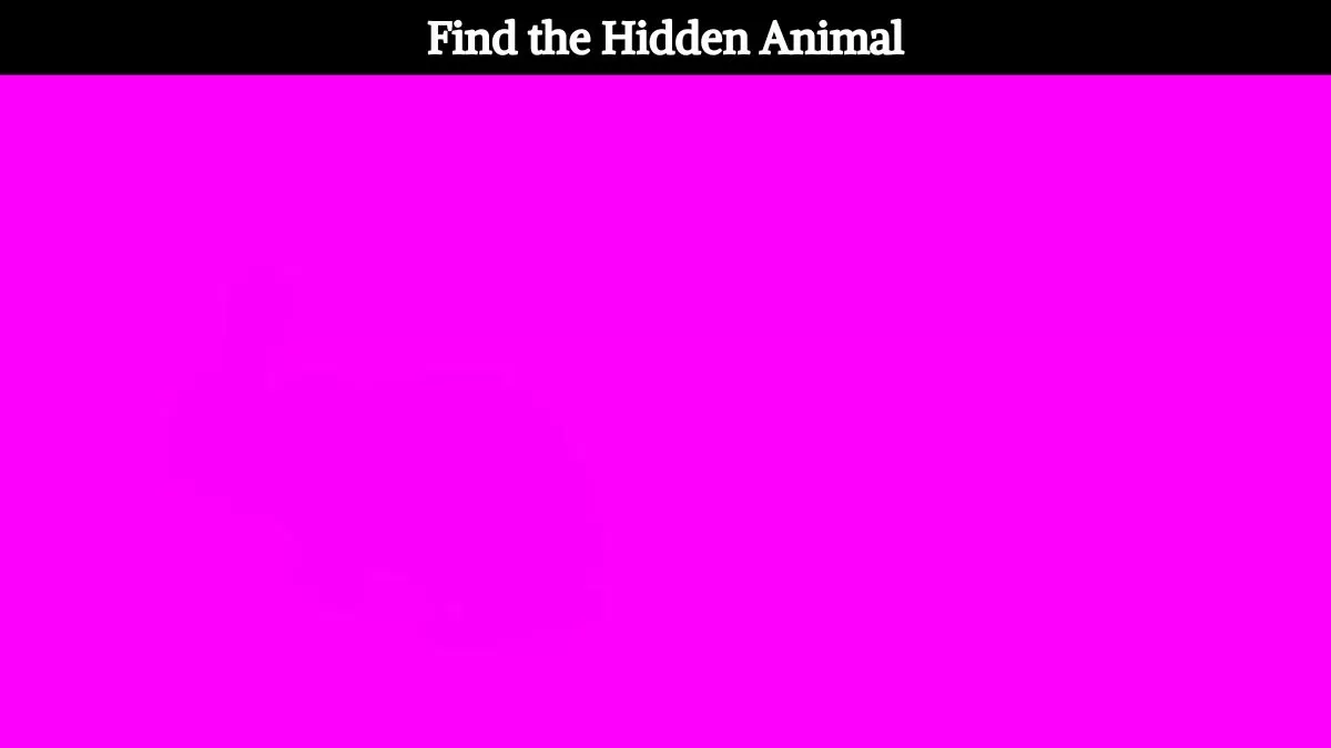 Find the hidden animal picture puzzle