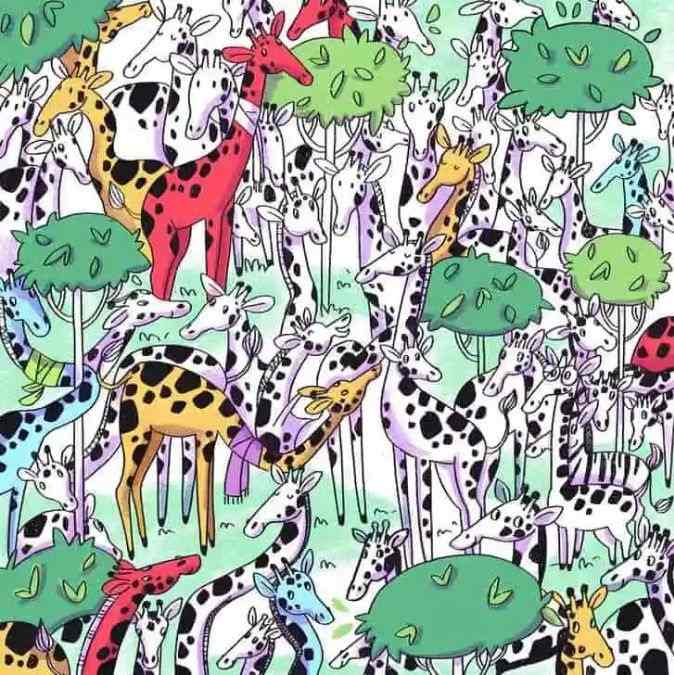 optical illusions to test iq