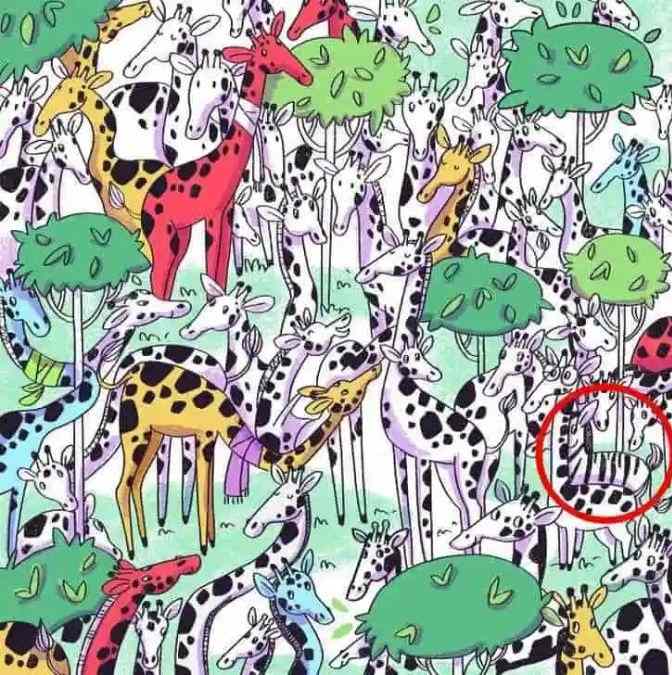 optical illusions with answers