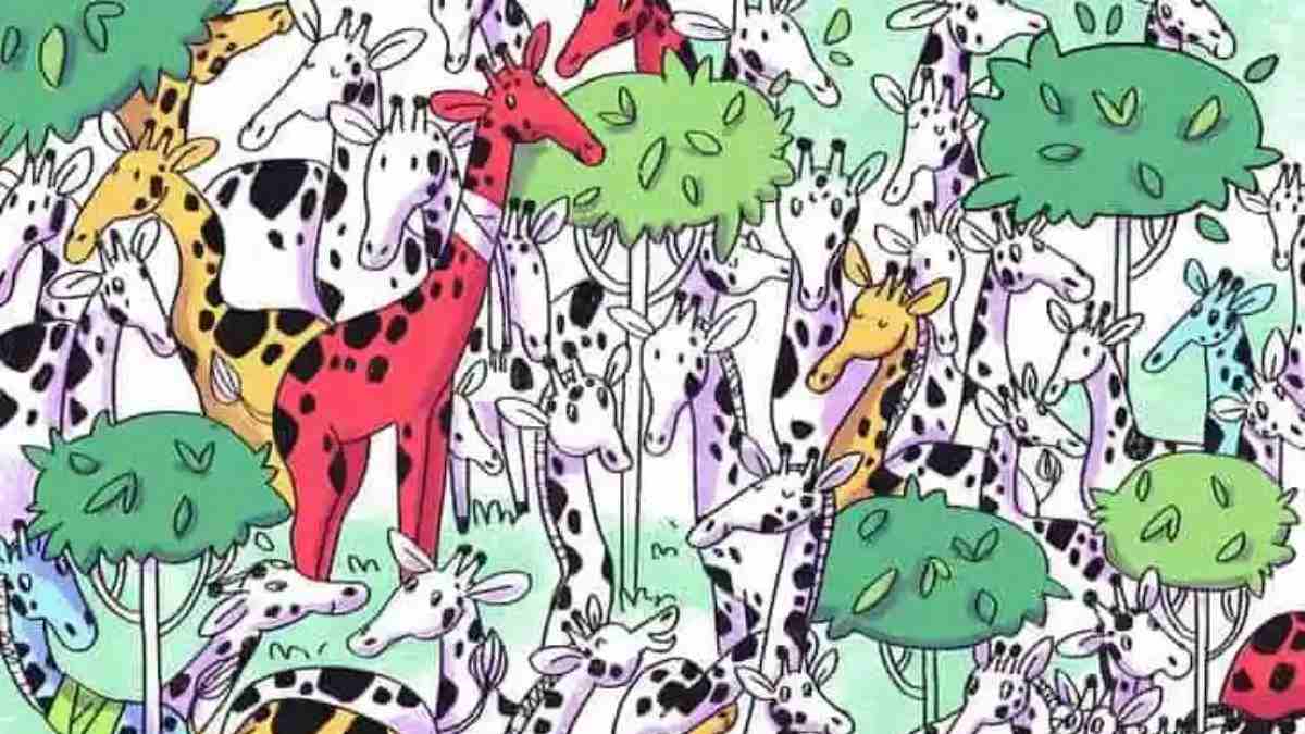 You have 20/20 vision and a top IQ if you can find the zebra among the giraffes in 10 seconds!