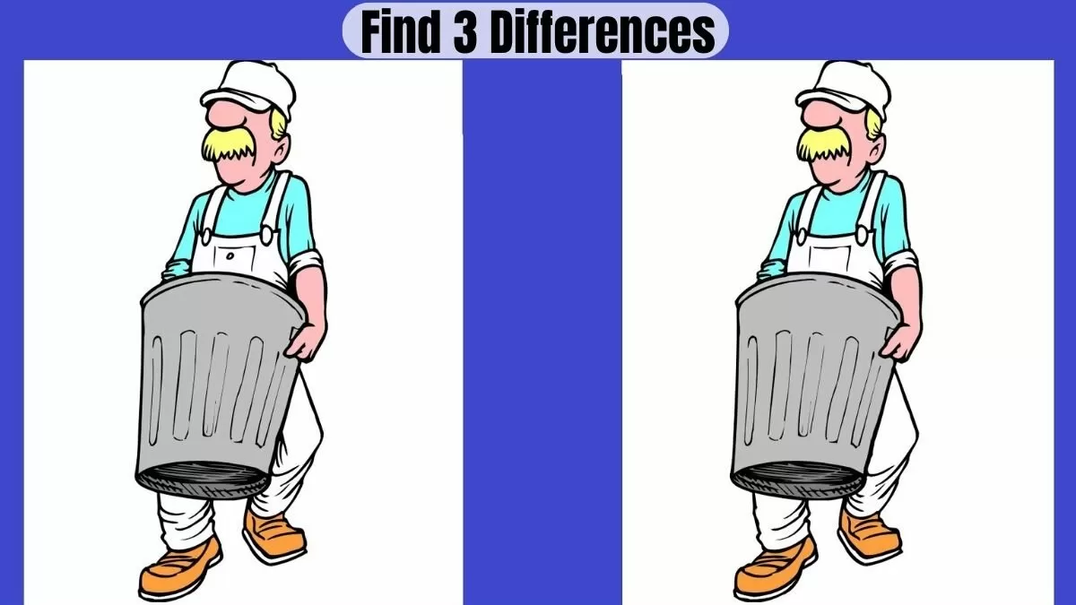 Spot 3 Differences Within 24 Seconds